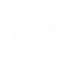 White Owl