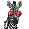 Hip Zebra with Sunglasses