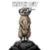 Cool meerkats watch out design
