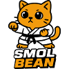 Cat fighters in the dojo