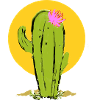 Cactus with Abstract Flower