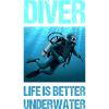 Diver life is better underwater