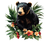 Sun Bear Malaienbär