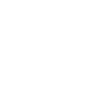 Dynamic jumping stallion