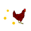 Chicken with breakfast delight design