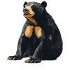 Sun Bear Malaienbär