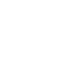 lion face lion head