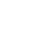 Lion Face Lion Head Mandala