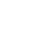 Majestic Lion Head Black and White