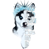 Eisbedeckter Husky mit Spruch