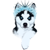 Eisprinzessin - Husky mit Krone 