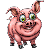 funny pink pig :)