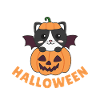 Cat Happy Halloween Pumpkin Bat Costume