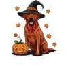 Halloween- Labrador  mit Hexenhut