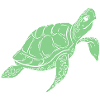 Green Sea Turtle Ocean Illustration