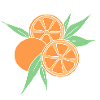 Illustration d’agrumes d’orange fraîche