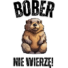 Loutre joueuse au regard affectueux (BOBER)