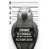 Parrot in Interrogation – Heart Thief