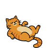 Lazy Cat Relax Design