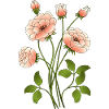 Fleur