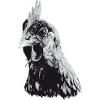 Expressive Chicken Portrait