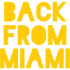 Vibrant Miami Skyline Silhouette