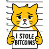 Funny Bitcoin Cat Digital Money