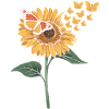 Sunflower butterfly
