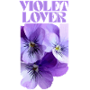 Violet Pansy Floral Design