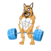 German Shepherd Weightlifting