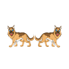 Humorous German Shepherd Meme Design
