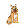German Shepherd Anatomy