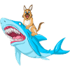German Shepherd Shark Ride