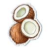 Coconut
