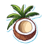 Coconut