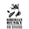 Husky à bord