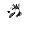 Sibirischer Husky mit Alpenlandschaft - Schlitten