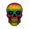 Galactic Rainbow Skull