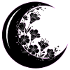 Floral Moon Phase Illustration