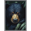 Sun Bear Malay Bear