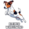 Little Whirlwind - Jack Russell