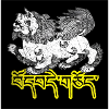 SNOW LION SACRED FOLK