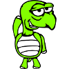 turtle mischievous funny silly shame cheeky