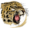 Wildes Raubtier-Design mit Leopardengesicht