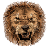 Impression majestueuse tête de lion