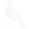 Raven