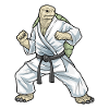 Turtle Karate Martial Arts