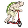 Turtle scooter