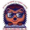 Hedgehog Coding Enthusiast T-Shirt