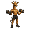 Sport Giraffe